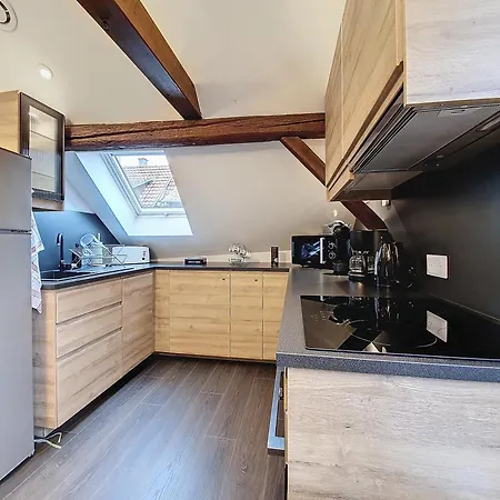 Le Nid De Cigogne - Climatisation - Calme - Neuf - Haut De Gamme - Dernier Etage Bernardswiller